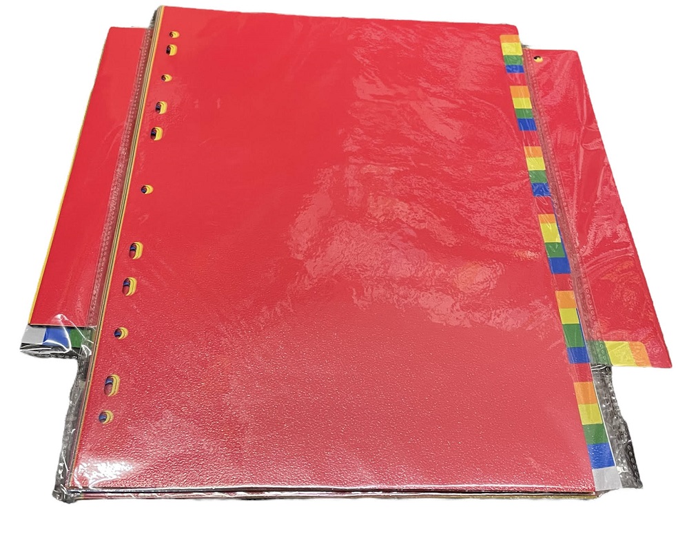 SEPARADOR PLASTICO A4 31  COLORES  YIL 5727