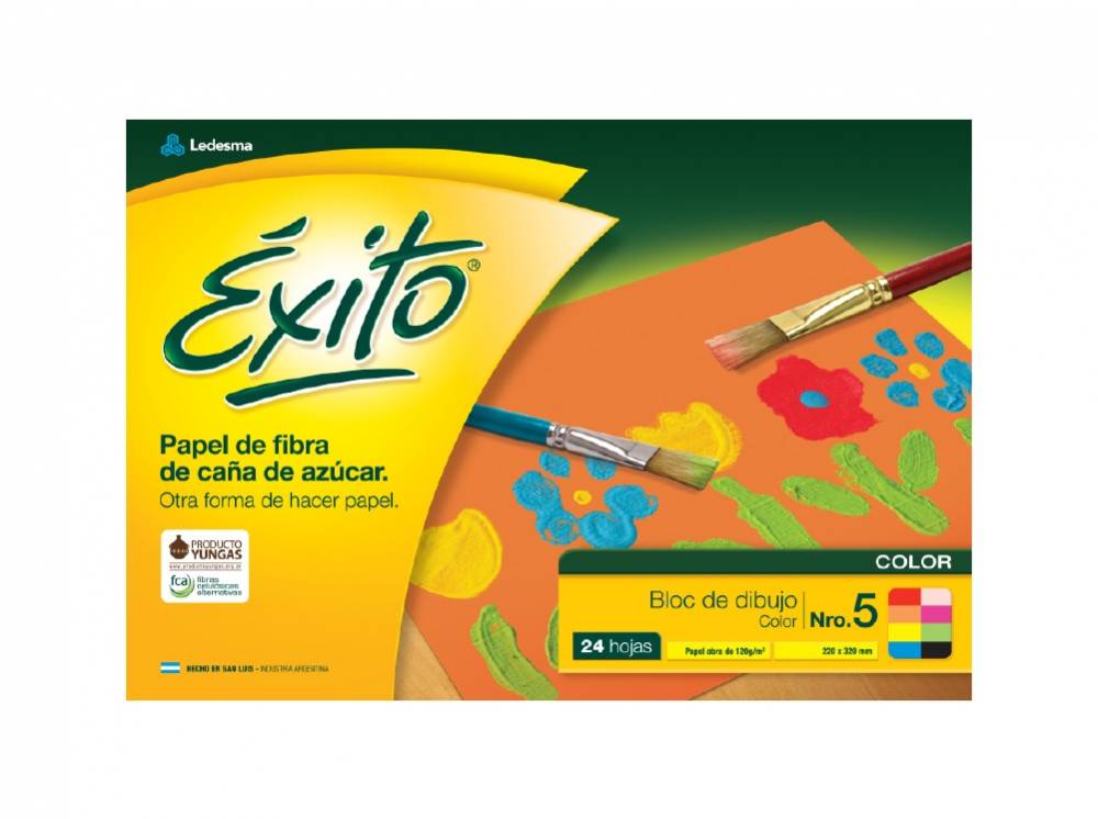 BLOCK DE DIBUJO �XITO COLOR N�5 120G 24 HOJAS