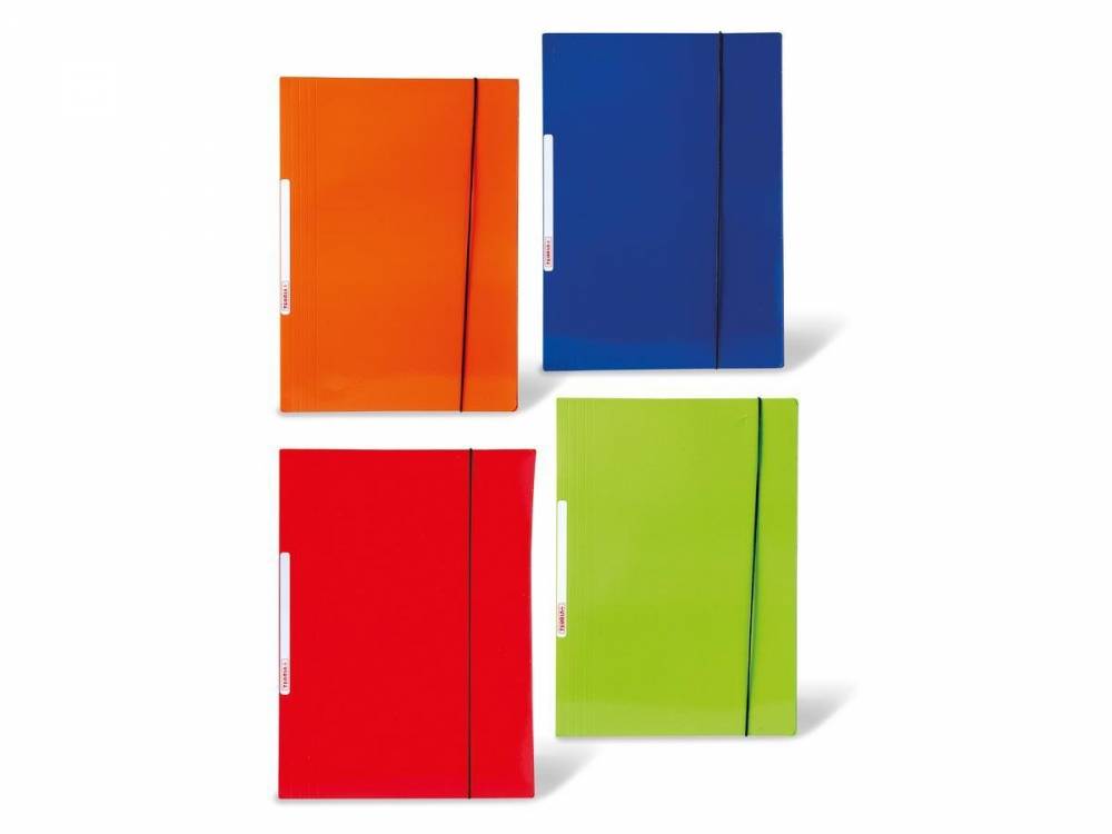 CARPETA CON EL�STICO TEOR�A+ CON ELASTICO VERTICAL 