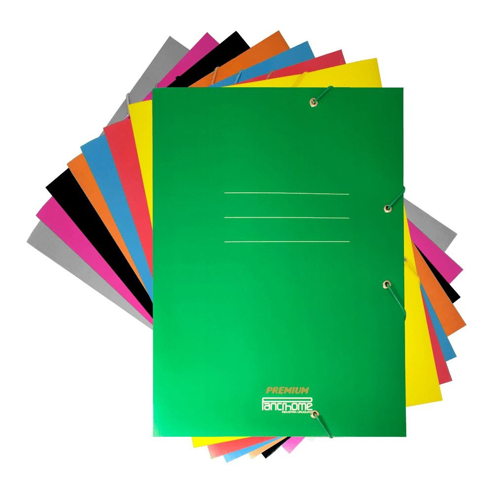 CARPETA DE CARTON CON ELASTICO PREMIUM N� 309