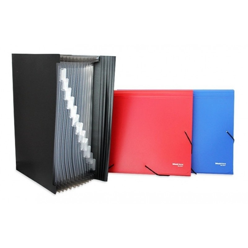 CARPETA C_FUELLE 12 DIV. A4 SURTIDAS