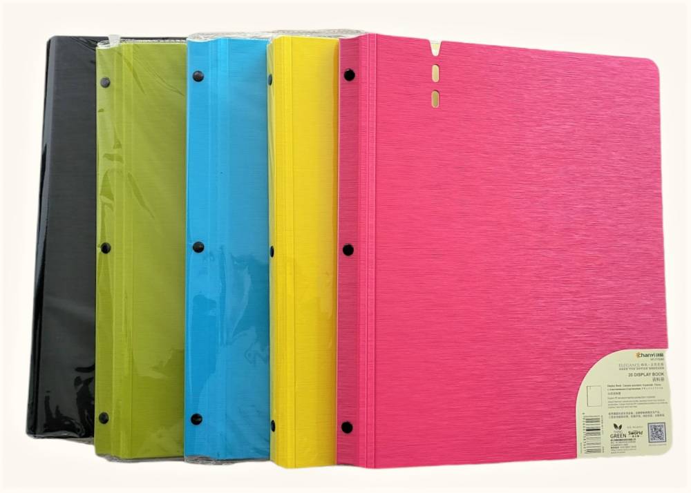 CARPETA R�GIDA CON 20 FUNDAS