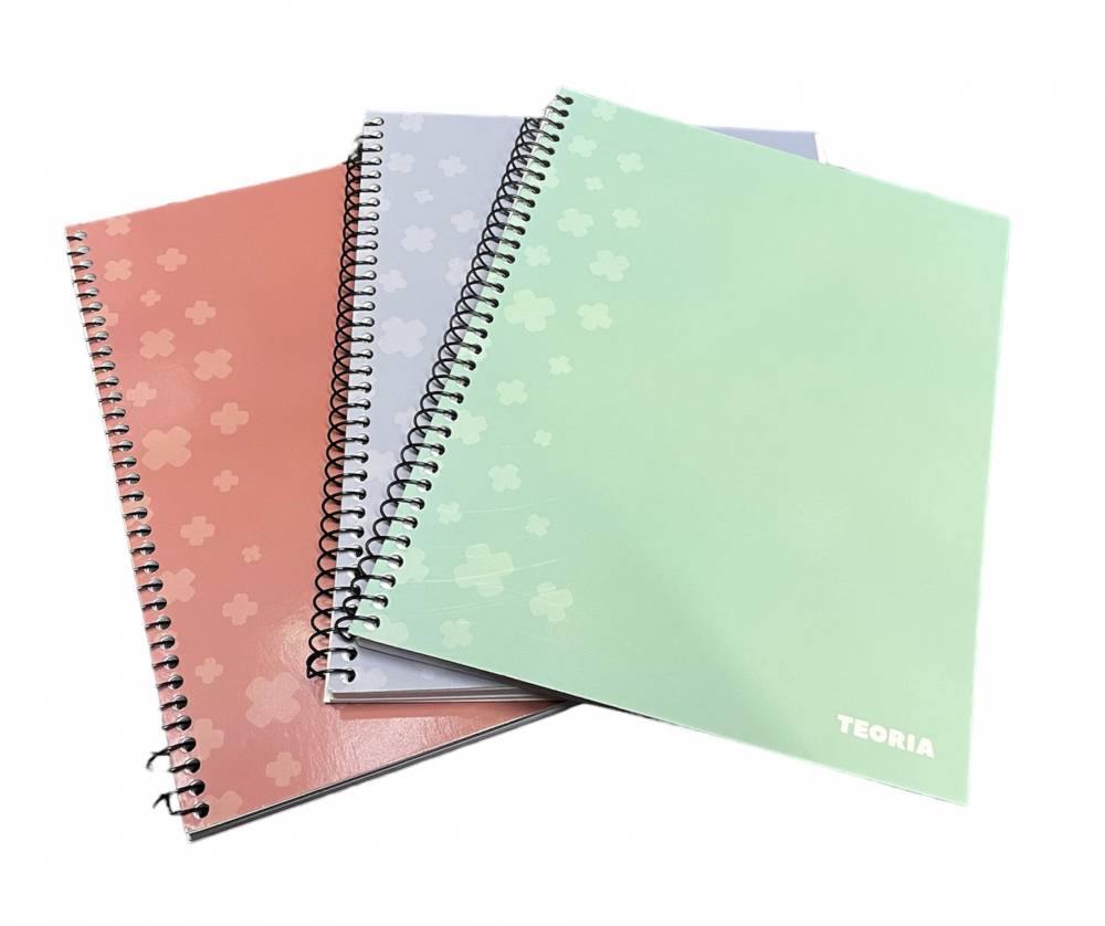CUADERNO A5 TEORIA + LISO CON ESPIRAL 96 H 