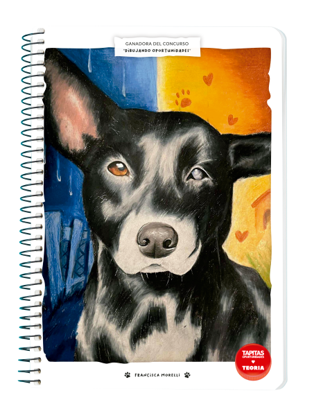 CUADERNOLA TAPA DURA TAPITAS 100 H 