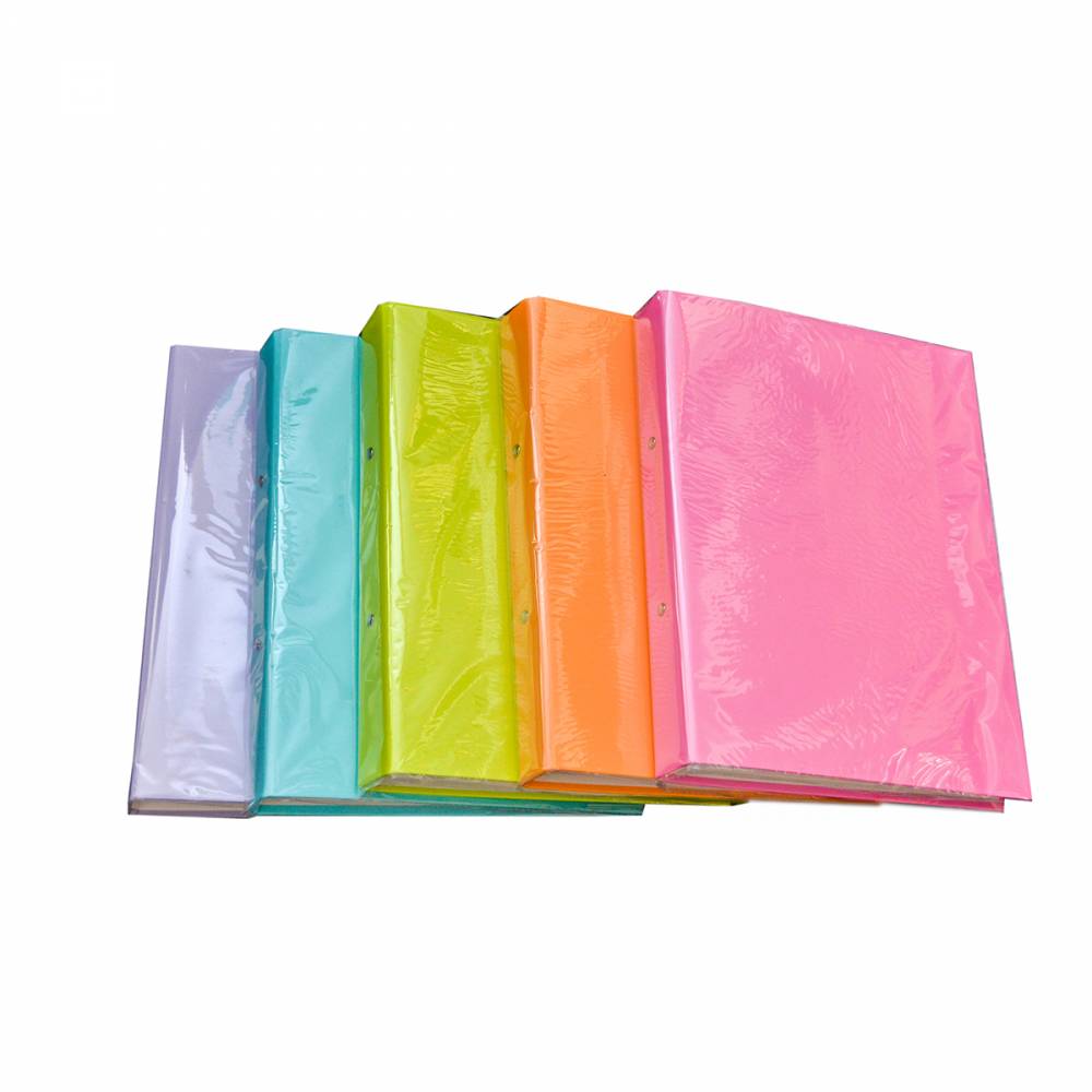 ARCHIVADOR DOS ANILLOS PASTEL             