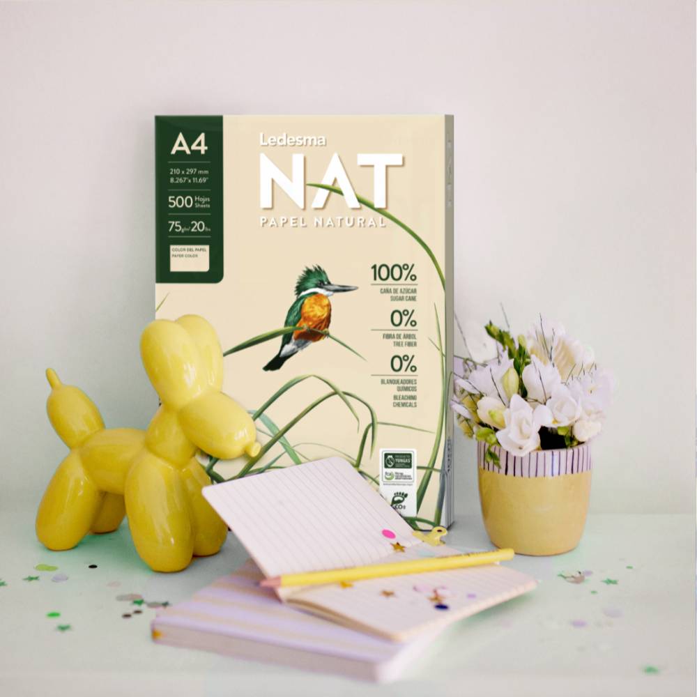 PAPEL FOTOCOPIA A4 LEDESMA NAT X 500 HOJAS 