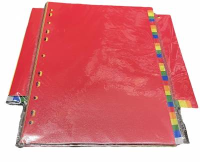 SEPARADOR PLASTICO A4 31  COLORES  YIL 5727