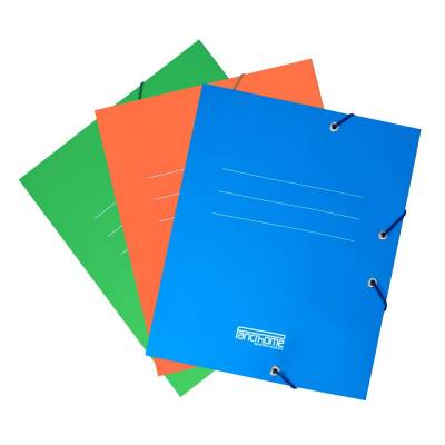 CARPETA DE CARTON CON ELASTICO N 307 