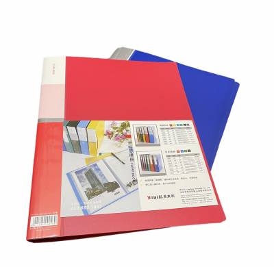 CARPETA PARA LISTAS DE PRECIO 10 FUNDAS A4