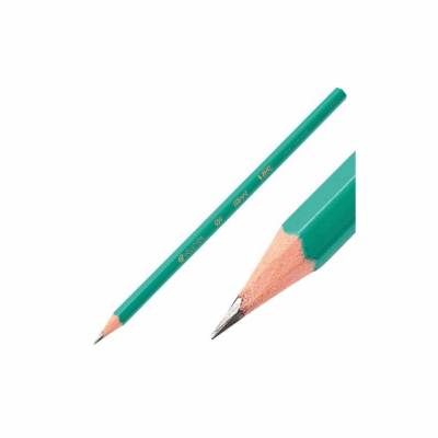 LAPIZ DE ESCRIBIR EVOLUTION BIC HB 