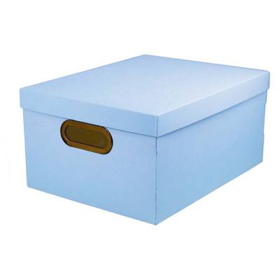 CAJA ORGANIZADORA DELLO LINO 38 X 29 X 18.5 CELESTE PASTEL 