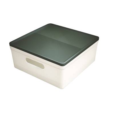 CAJA ORGANIZADORA DELLO 28 X 28 X 12.50 NUDE/VERDE 