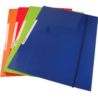 CARPETA CON EL�STICO TEOR�A+ CON ELASTICO VERTICAL 