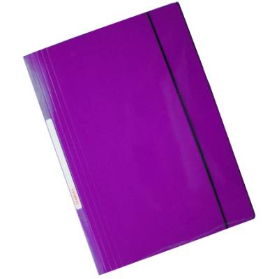 CARPETA TEORIA + CON ELASTICO VERTICAL VIOLETA 