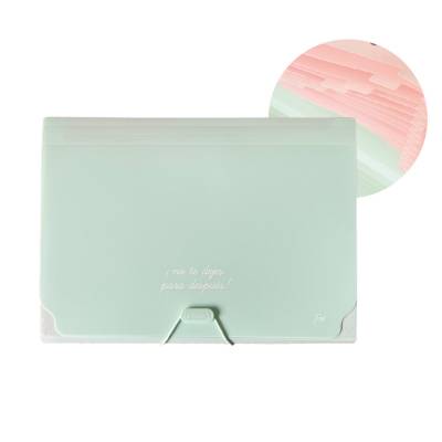 CARPETA A4 CON FUELLE 9 DIVISIONES PASTEL FW