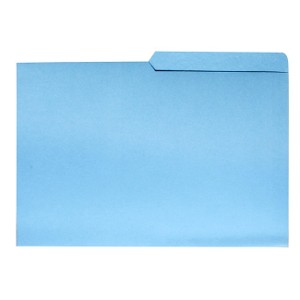 CARPETA CON OREJA AZUL 