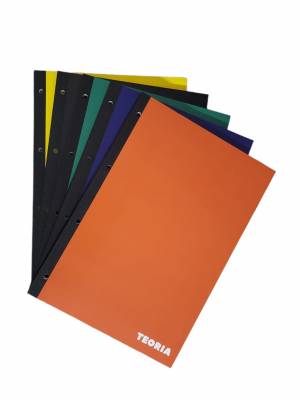 CUADERNOLA TEORIA + LOMO PEGADO 100 HOJAS 