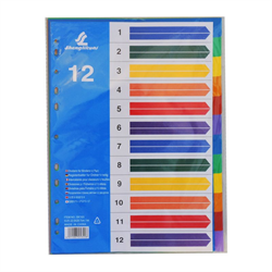 SEPARADORES PLASTICOS A4 12 COLORES