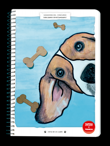 Informaci�n Adicional